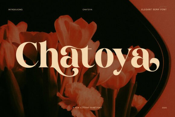 Discovering the Warmth of Chatoya Font
